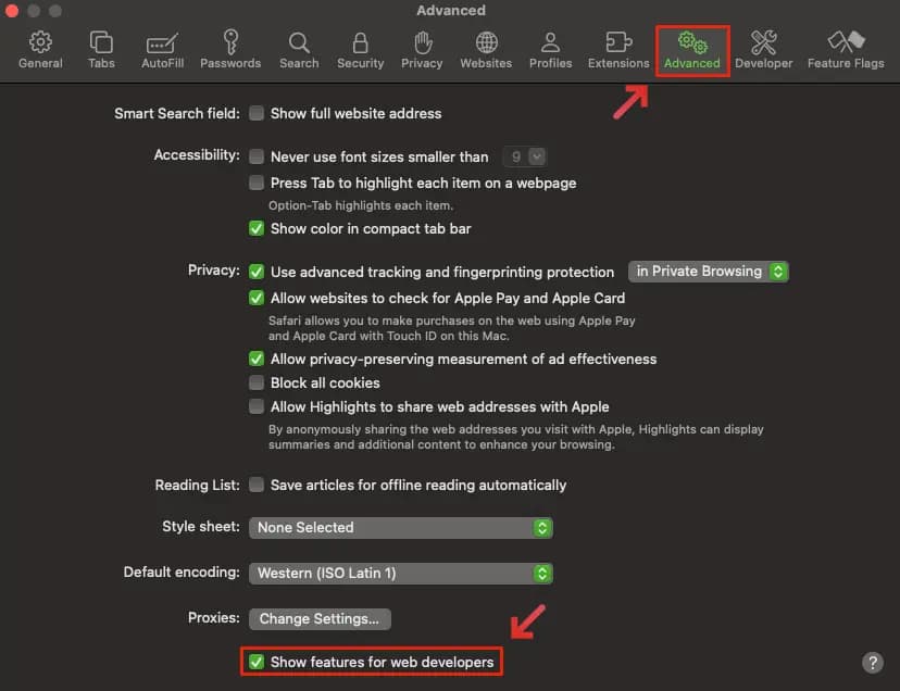 Safari 브라우저 개발자 옵션 활성화